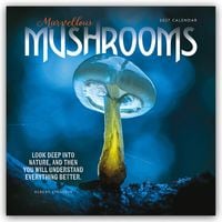 Produktbild: Mushrooms &ndash; Pilze 2027 &ndash; Wand-Kalender