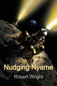 Produktbild: Nudging Nyame