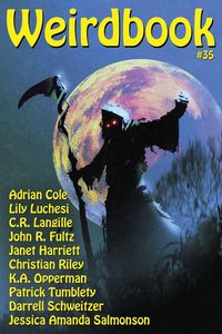 Produktbild: Weirdbook #35