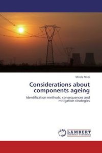 Produktbild: Nitoi, M: Considerations about components ageing