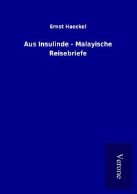 Produktbild: Aus Insulinde - Malayische Reisebriefe