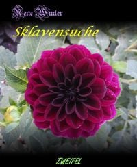 Produktbild: Sklavensuche