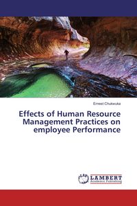 Produktbild: Effects of Human Resource Management Practices on employee Performance