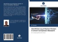 Produktbild: Identifizierung kritischer Knoten in einem komplexen Netzwerk