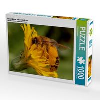 Produktbild: CALVENDO Puzzle Hosenbiene auf Ferkelkraut | 1000 Teile Lege-Gr&ouml;&szlig;e 64x48cm Foto-Puzzle f&uuml;r gl&uuml;ckliche Stunden