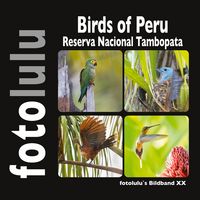 Produktbild: Birds of Peru
