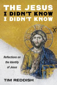 Produktbild: The Jesus I Didn't Know I Didn't Know