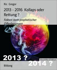 Produktbild: 2013 - 2016 Kollaps oder Rettung ?