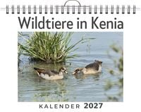 Produktbild: Wildtiere in Kenia
