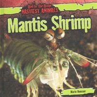Produktbild: Mantis Shrimp