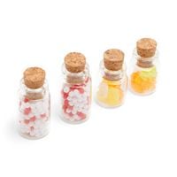 Produktbild Wichtel Inc. 4er Set Flaschen