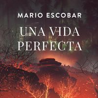 Produktbild: Una vida perfecta