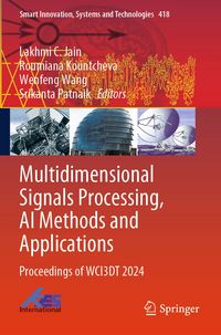 Produktbild: Multidimensional Signals Processing, AI Methods and Applications