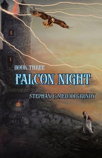 Produktbild: Falcon Night