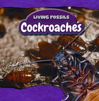 Produktbild: Cockroaches