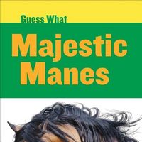 Produktbild: Majestic Manes