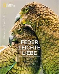 Bild vom Artikel Federleichte Liebe vom Autor Wenfei Tong