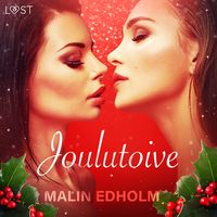 Produktbild: Joulutoive - eroottinen novelli
