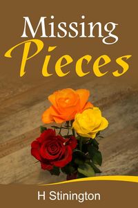 Produktbild: Missing Pieces