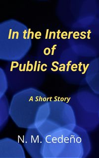 Produktbild: In the Interest of Public Safety