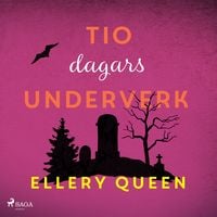 Produktbild: Tio dagars underverk