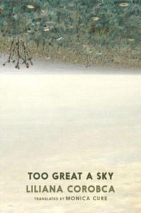 Produktbild: Too Great A Sky