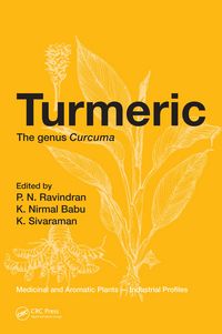 Produktbild: Turmeric