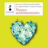 Produktbild: Nuevo sentimentario