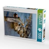 Produktbild: CALVENDO Puzzle Pfahl und Steine in einem Gew&auml;sser | 1000 Teile Lege-Gr&ouml;&szlig;e 64x48cm Foto-Puzzle f&uuml;r gl&uuml;ckliche Stunden