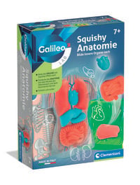Produktbild: Experimentierset Galileo Squishy Anatomie
