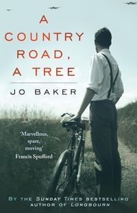 Bild vom Artikel A Country Road, A Tree vom Autor Jo Baker