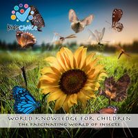 Produktbild: The Fascinating World of Insects