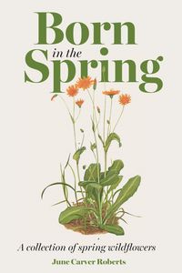 Produktbild: The Born in the Spring