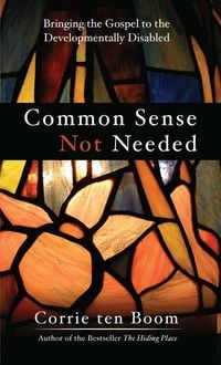 Produktbild: Common Sense Not Needed