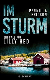 Produktbild: Im Sturm