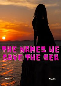 Produktbild: The Names We Gave the Sea