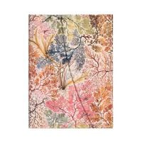 Produktbild: Hardcover Notizbuch Anemone, Midi, Liniert