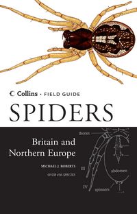 Produktbild: Spiders of Britain and Northern Europe
