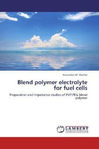 Produktbild: M. Warrier, A: Blend polymer electrolyte for fuel cells