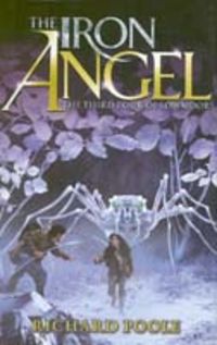 Produktbild: Poole, R: The Iron Angel