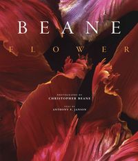 Produktbild: Beane, C: Flower