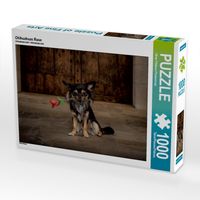 Produktbild: CALVENDO Puzzle Chihuahuas Rose | 1000 Teile Lege-Gr&ouml;&szlig;e 64x48cm Foto-Puzzle f&uuml;r gl&uuml;ckliche Stunden