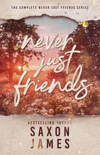 Produktbild: Never Just Friends Omnibus