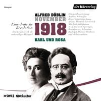 Produktbild: November 1918. Eine deutsche Revolution