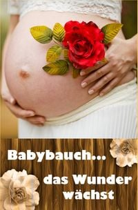Produktbild: Babybauch...das Wunder w&auml;chst