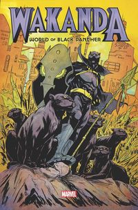 Produktbild: Narcisse, E: Wakanda: World Of Black Panther Omnibus