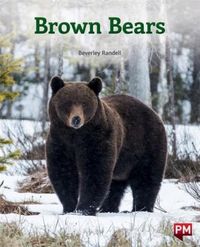Produktbild: Brown Bears