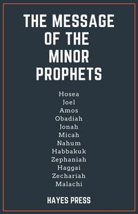 Produktbild: The Message of the Minor Prophets