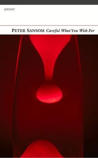 Produktbild: Careful What You Wish for