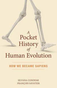 Produktbild: A Pocket History of Human Evolution